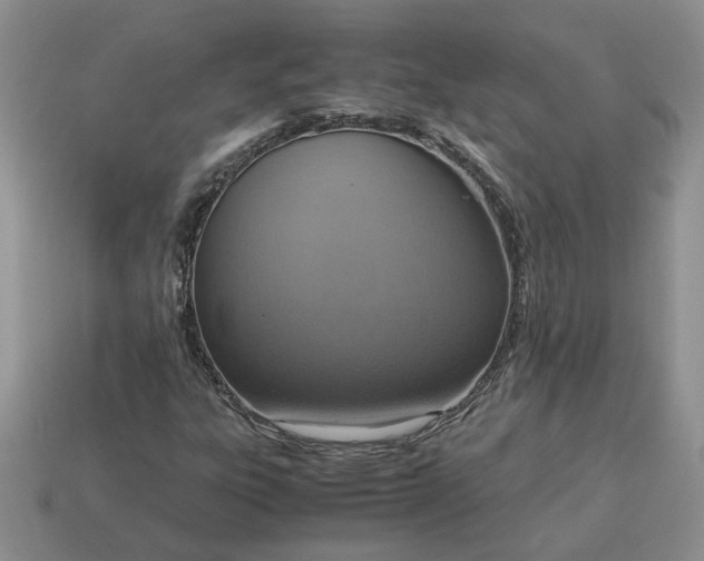 X0000114601303200911091309