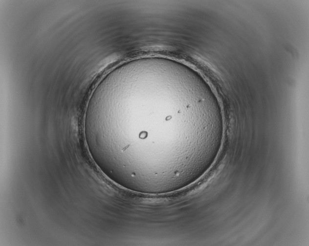 X0000114601305200911091309