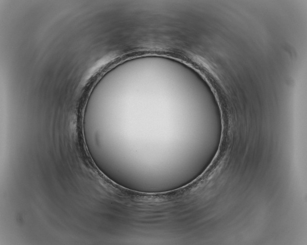 X0000114601307200911091309