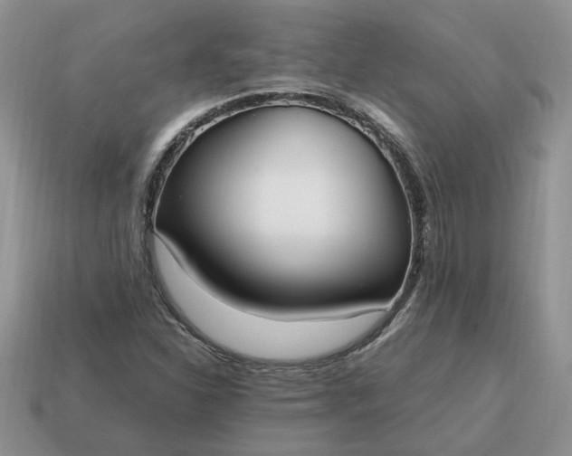 X0000114601310200911091309