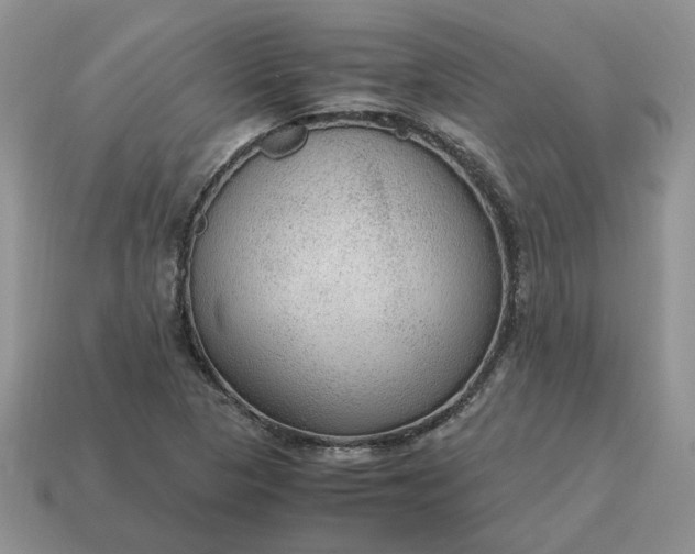 X0000114601313200911091309