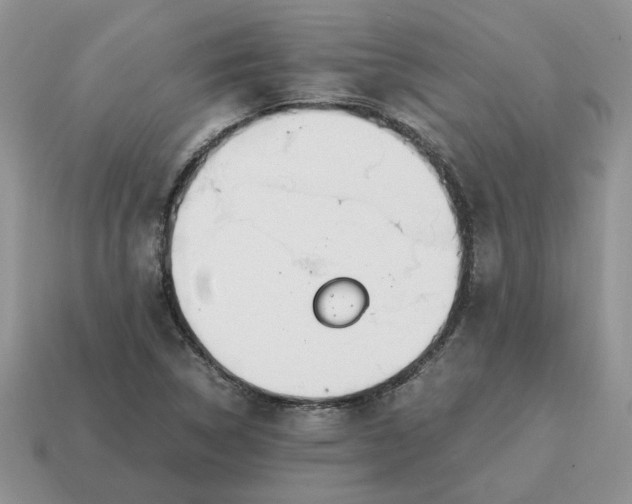 X0000114601314200911091309