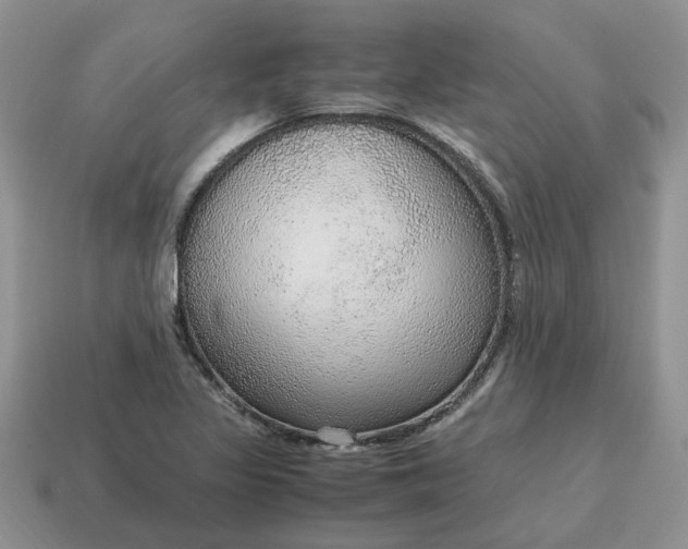 X0000114601317200911091309