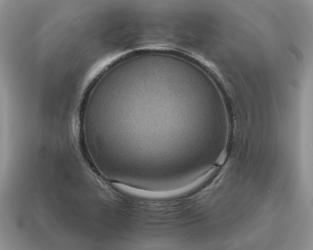 X0000114601319200911091309