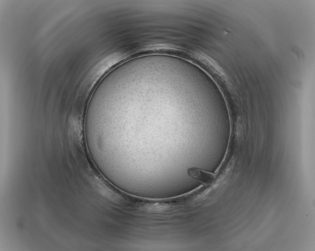 X0000114601321200911091309