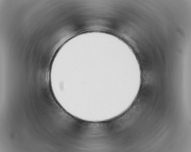 X0000114601322200911091309