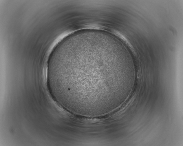 X0000114601323200911091309