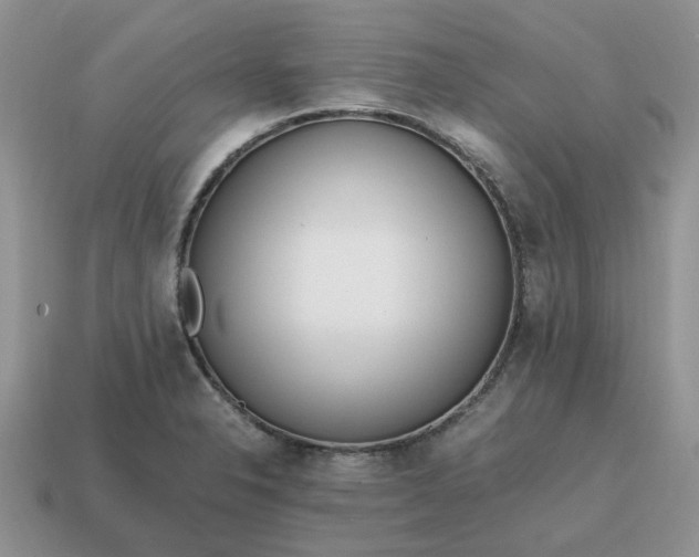 X0000114601326200911091309