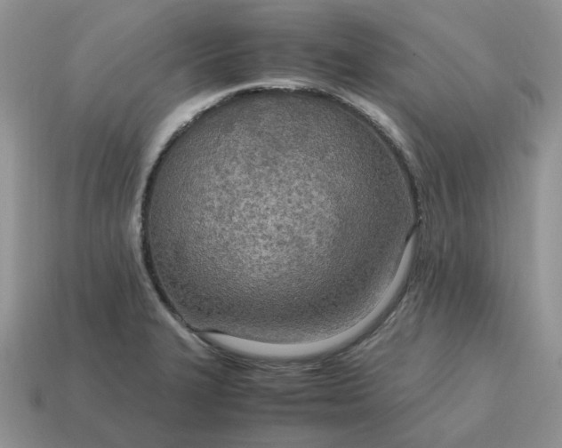 X0000114601327200911091309