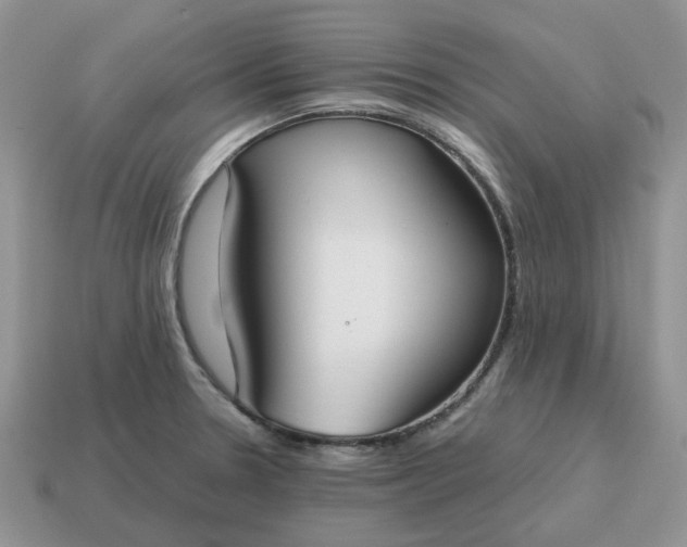 X0000114601330200911091309