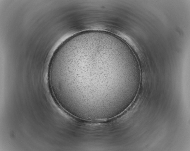 X0000114601331200911091309