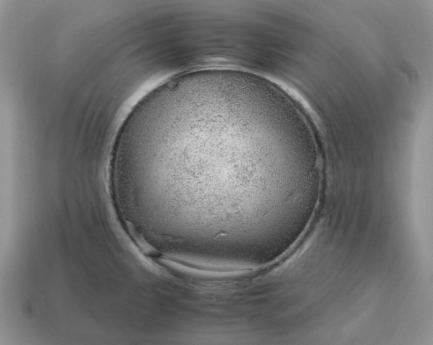 X0000114601333200911091309