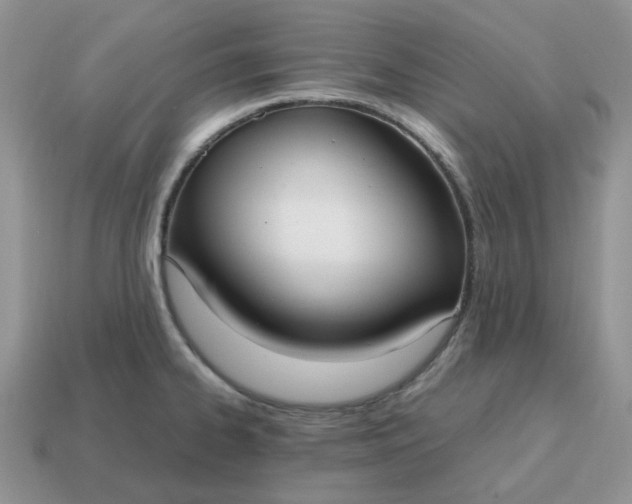 X0000114601334200911091309