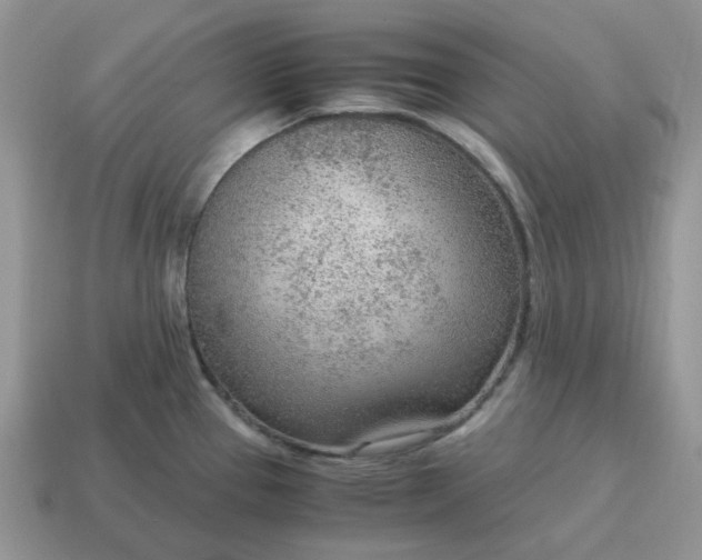 X0000114601337200911091309