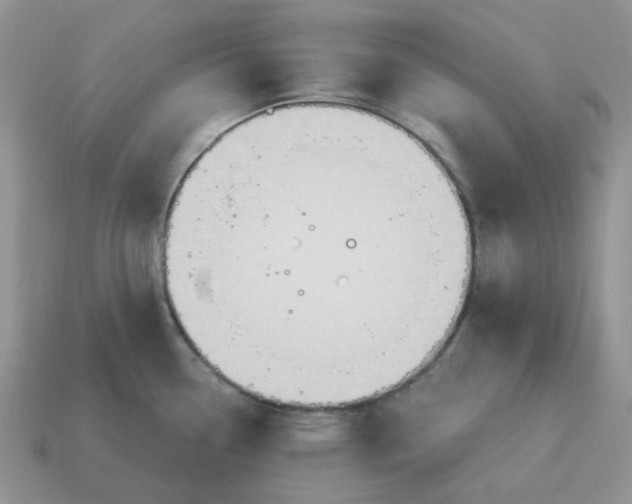 X0000114601338200911091309