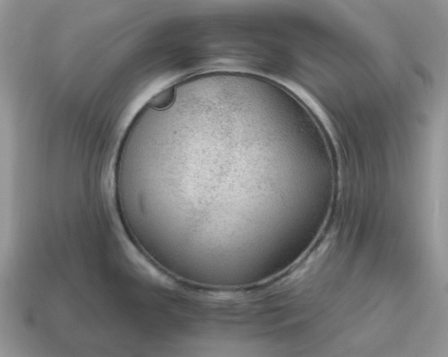 X0000114601341200911091309