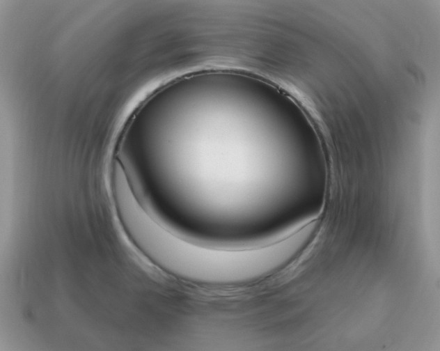 X0000114601342200911091309