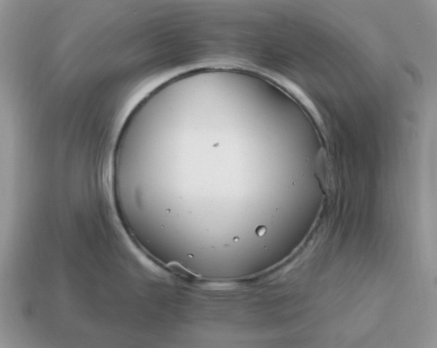 X0000114601343200911091309