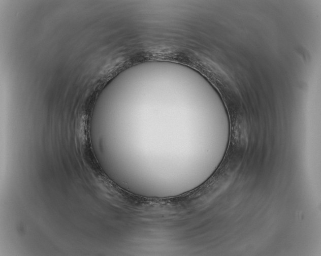 X0000114601346200911091309