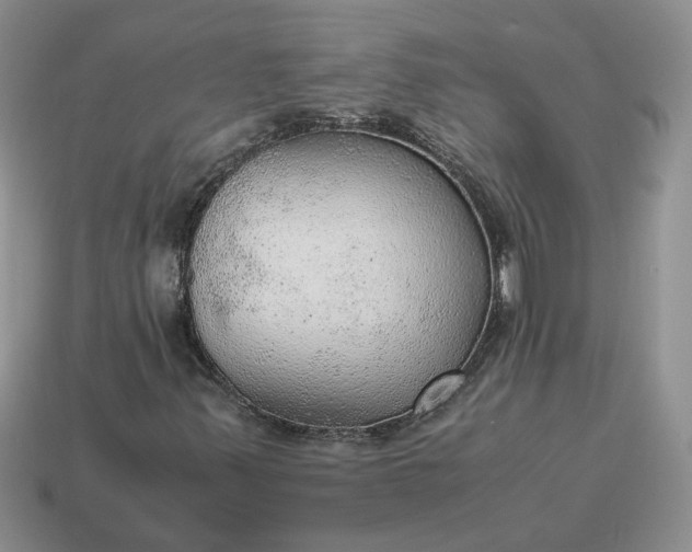 X0000114601347200911091309