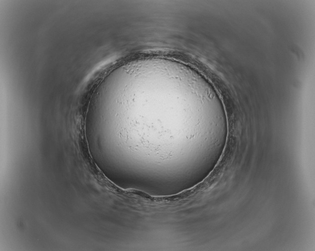 X0000114601351200911091309