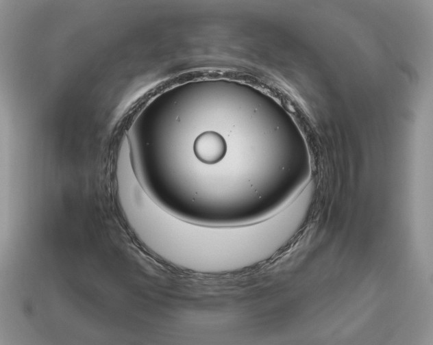 X0000114601352200911091309