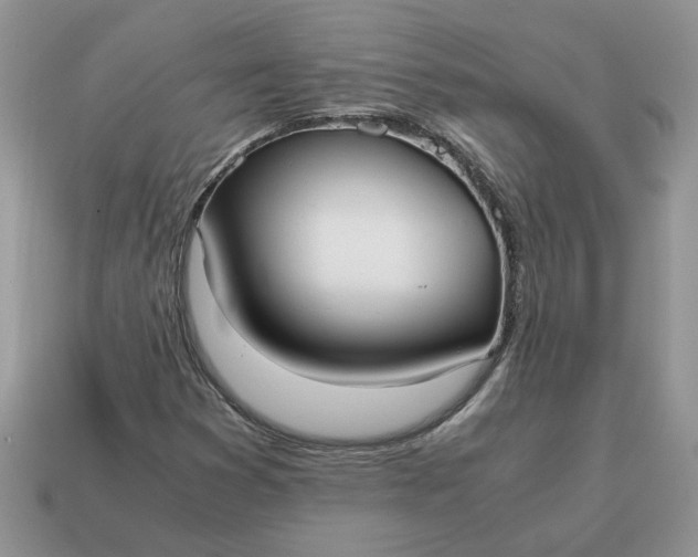 X0000114601353200911091309