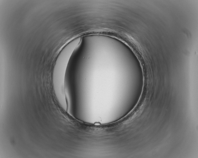 X0000114601361200911091309