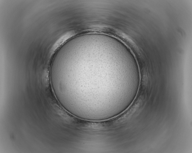 X0000114601362200911091309