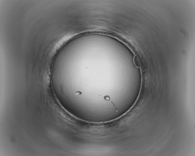 X0000114601363200911091309