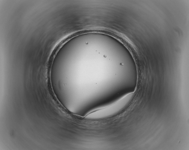 X0000114601364200911091309