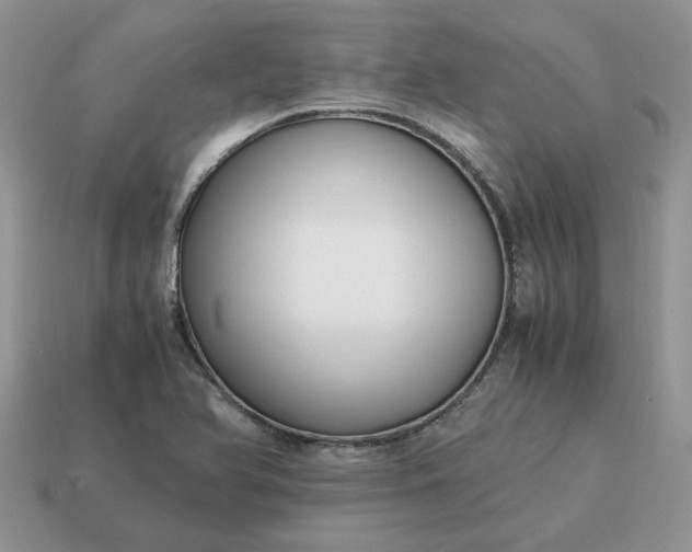 X0000114601366200911091309