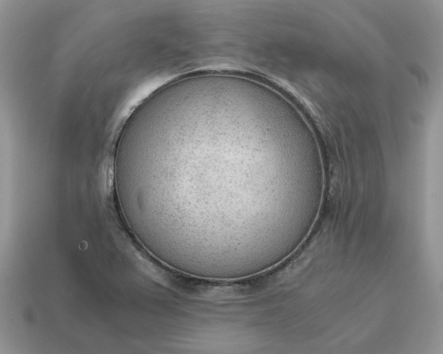 X0000114601367200911091309