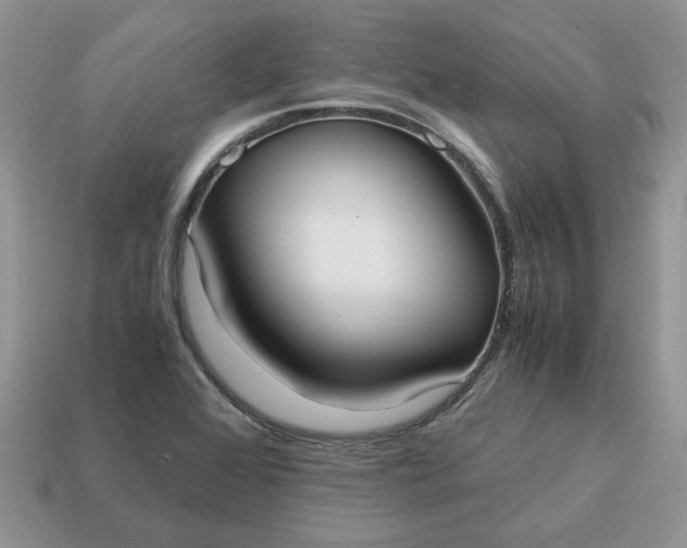 X0000114601368200911091309