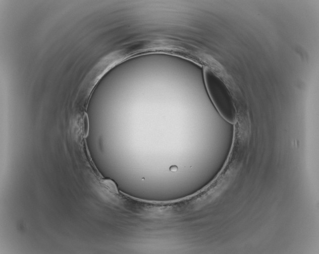 X0000114601369200911091309