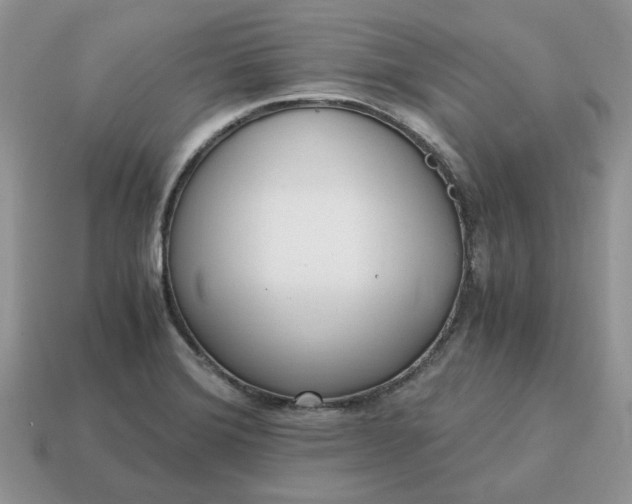 X0000114601372200911091309