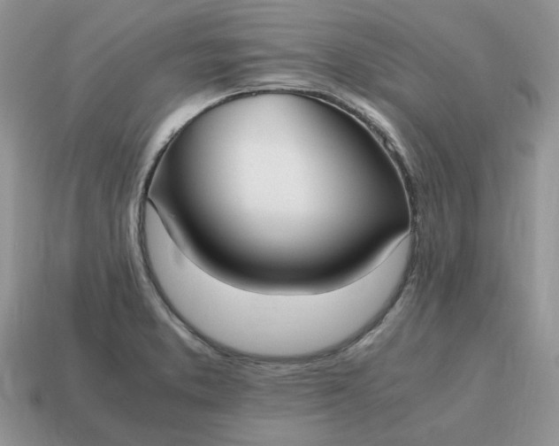 X0000114601373200911091309