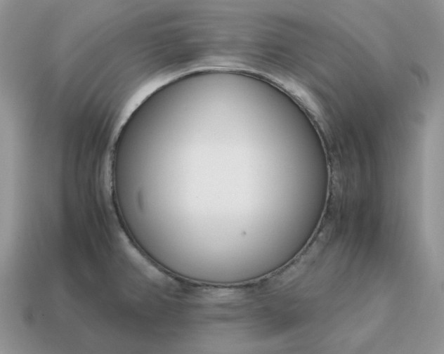 X0000114601382200911091308