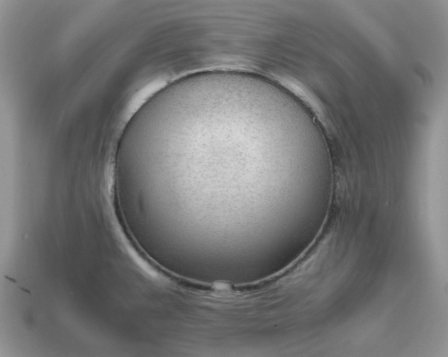 X0000114601383200911091308