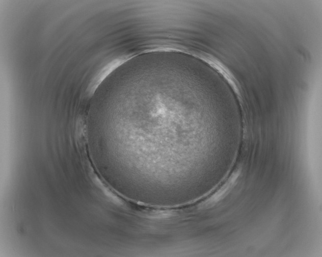 X0000114601385200911091308