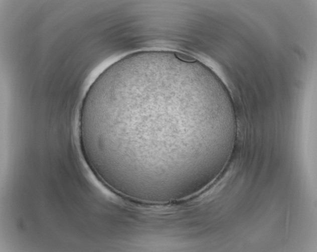 X0000114601387200911091308