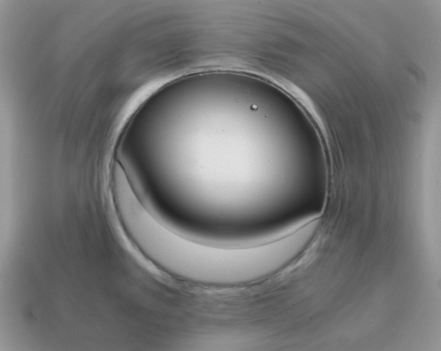 X0000114601389200911091308