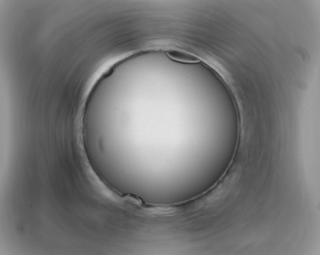 X0000114601392200911091308