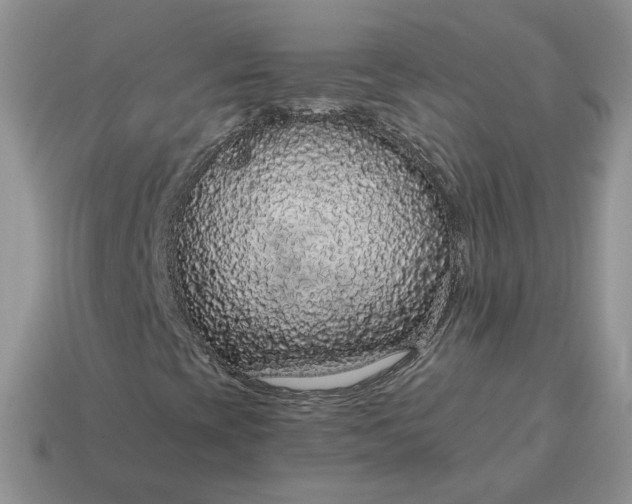 X0000114601393200911091307