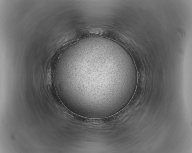 X0000114601394200911091307