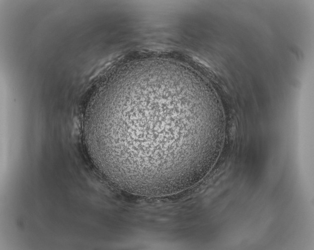 X0000114601397200911091308