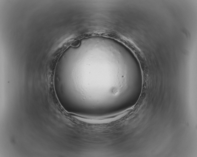 X0000114601399200911091308