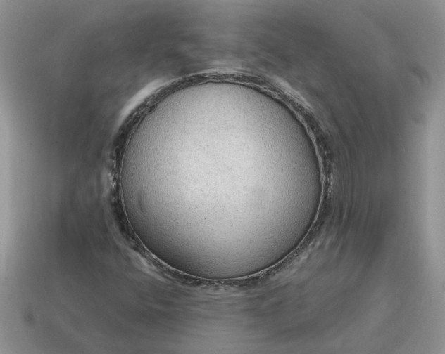 X0000114601400200911091308