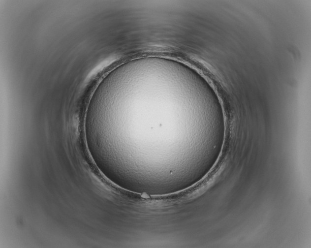 X0000114601402200911091308