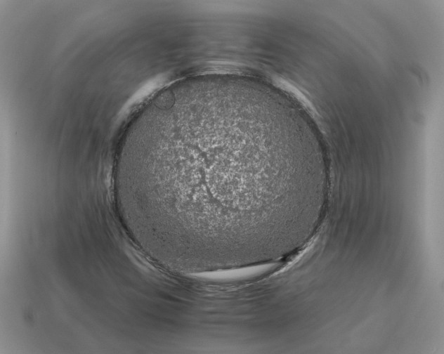 X0000114601403200911091308